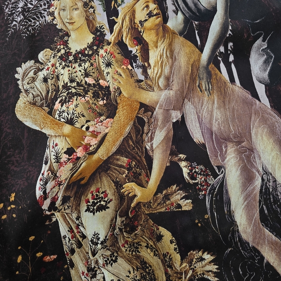 Alice + Olivia Botticelli La Primavera Skirt - Picture 5 of 6